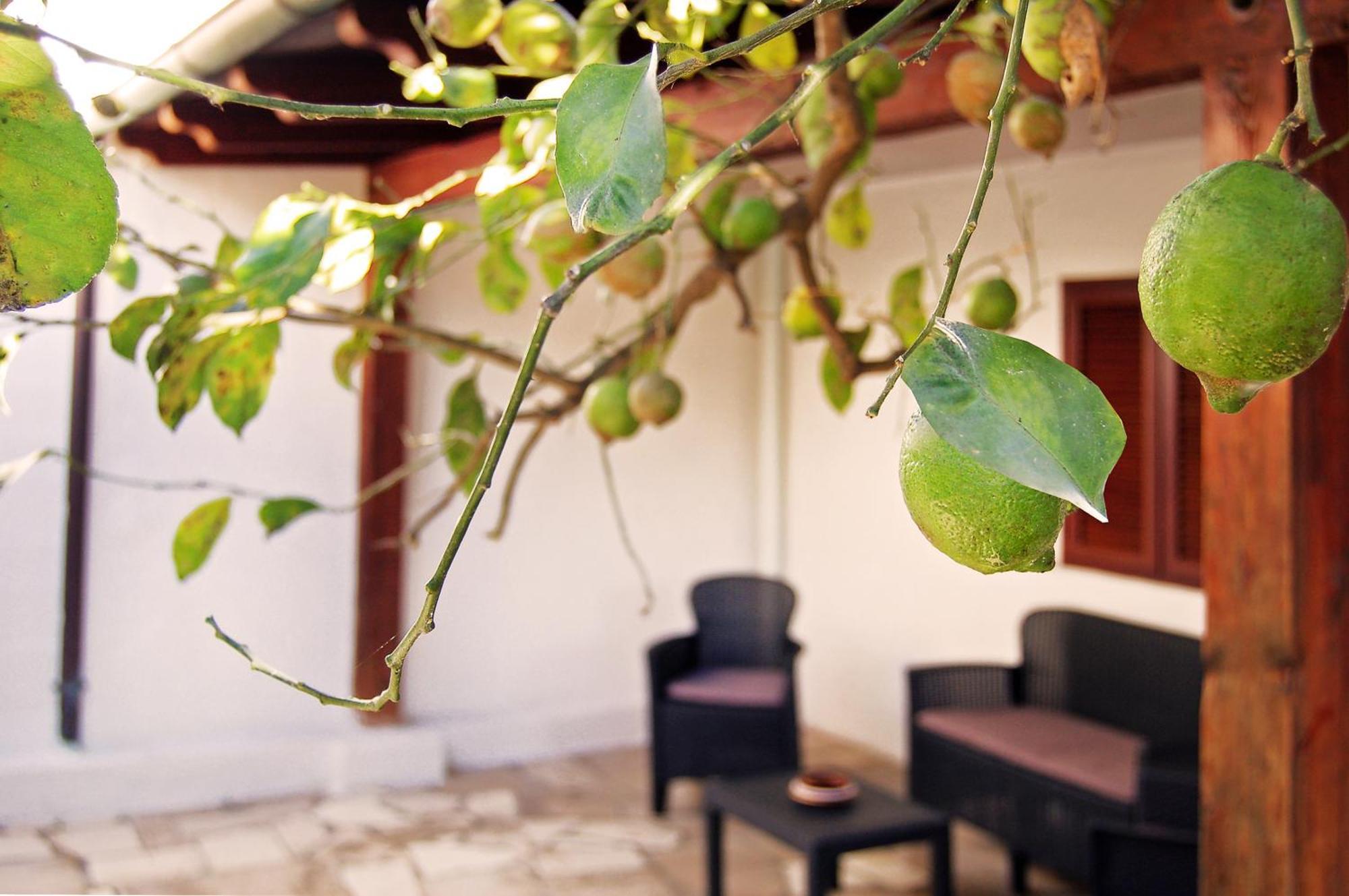 Sea Breeze Villa - Luna Apartment Bari Eksteriør bilde